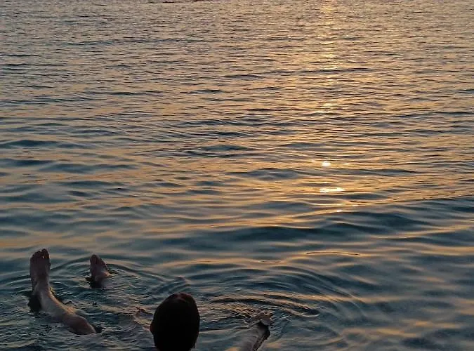 Vedrana
