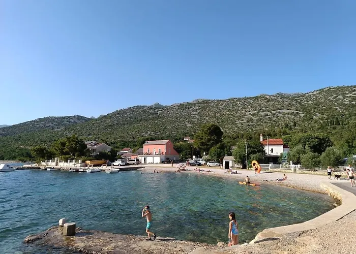 Vedrana *