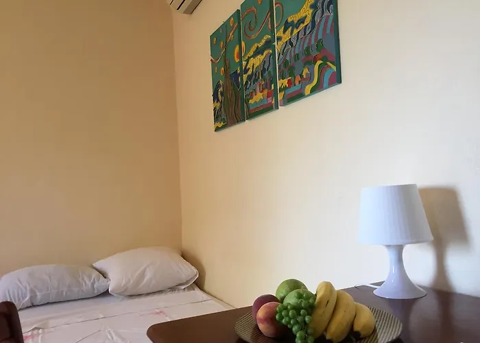 Vedrana Šibuljina