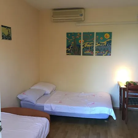 Vedrana * Šibuljina